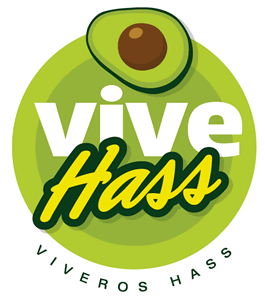 Opción proceso, Diseño de logo Vive Hass