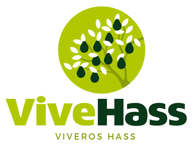 Opción proceso, Diseño de logo Vive Hass
