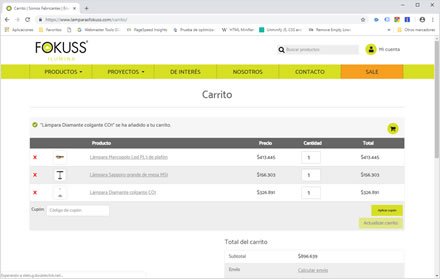 Checkout, Web y tienda on-line Lámparas Fokuss