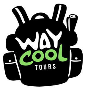 Opción proceso, Diseño de logo Way Cool Tours