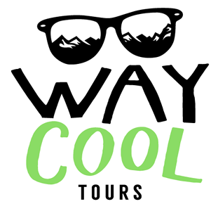 Opción proceso, Diseño de logo Way Cool Tours