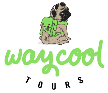 Opción proceso, Diseño de logo Way Cool Tours