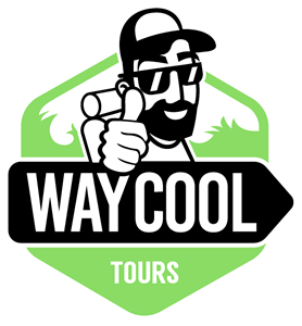 Opción proceso, Diseño de logo Way Cool Tours