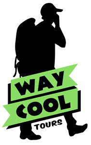 Opción proceso, Diseño de logo Way Cool Tours