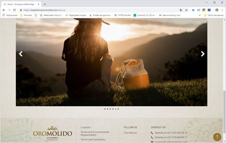 About, Web Hotel en Wordpress Experience Oro Molido