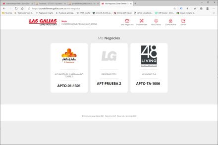 Negocios del cliente, Portal de Clientes Las Galias