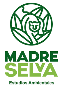Logo, Naming y diseño de Logo Madre Selva