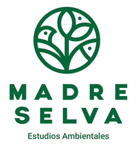 Opción proceso, Naming y diseño de Logo Madre Selva