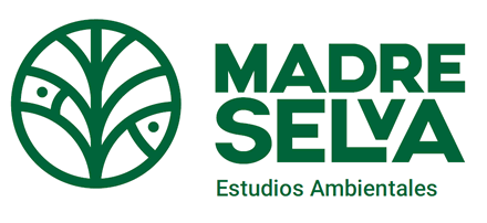 Opción proceso, Naming y diseño de Logo Madre Selva