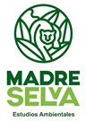 Diseño de Naming y diseño de Logo para Madre Selva