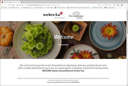 Landing Page, Micro sitio HTML5 Selecta Flowers