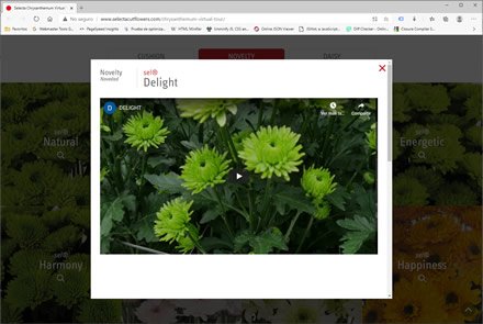 Landing Page (pop-up), Micro sitio HTML5 Selecta Flowers