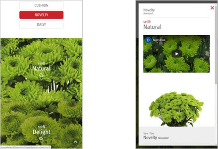 Adaptación responsive, Micro sitio HTML5 Selecta Flowers
