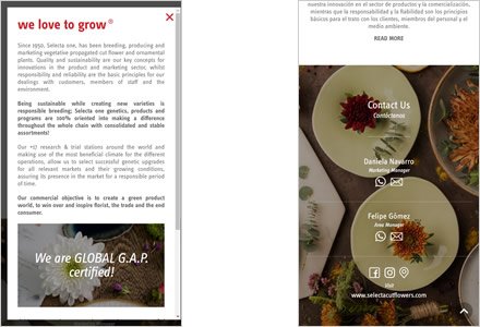 Adaptación responsive, Micro sitio HTML5 Selecta Flowers