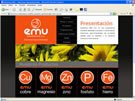 Diseño de Web para Industrias EMU