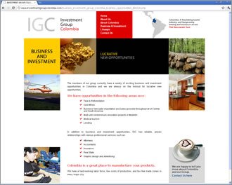 Business and Investment, Web Investment Group
