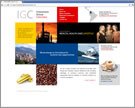 Diseño de Web para Investment Group
