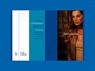 Diseño de Multimedia para B Blu