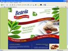 Diseño de Web para Bestevia