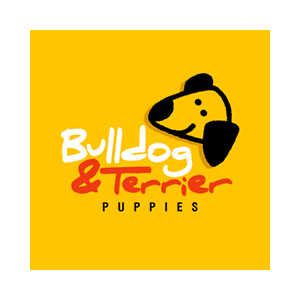 Logo (alternativa 3), Identidad Visual Bulldog & Terrier