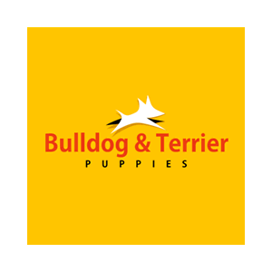 Logo (alternativa 4), Identidad Visual Bulldog & Terrier