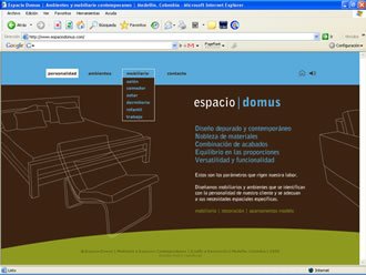 Empresa, Web Espacio Domus