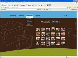 Galería de Mobiliario, Web Espacio Domus
