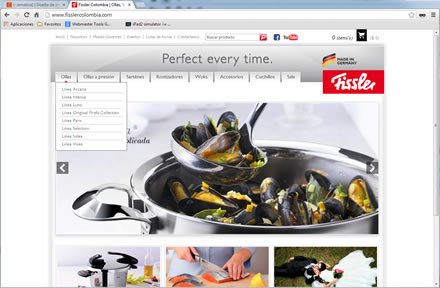 Home (3), e-store Responsive Fissler Colombia