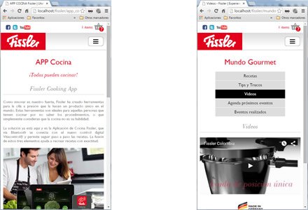Responsive web, e-store Responsive Fissler Colombia