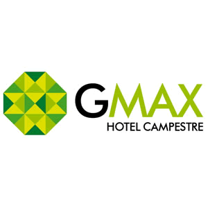 Logo, Identidad Visual GMAX