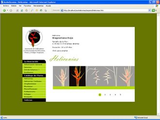 Catálogo, Web Asoheliconias