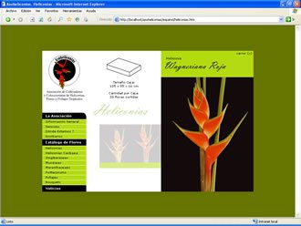 Detalle de Flor, Web Asoheliconias