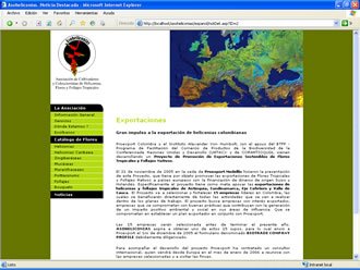 Noticia (detalle), Web Asoheliconias