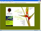 Diseño de Web para Asoheliconias