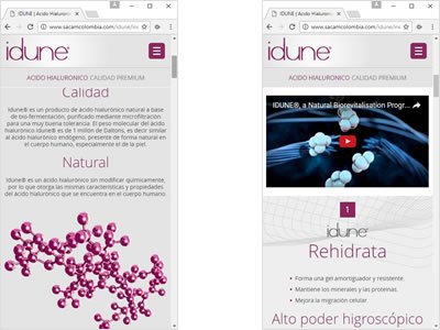 Adaptación Responsive, Landing page responsive Idune
