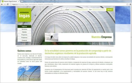 Empresa, Sitio web Ingas