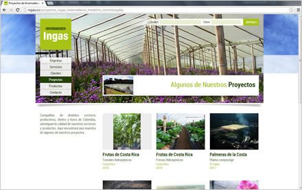 Proyectos, Sitio web Ingas