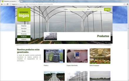 Productos, Sitio web Ingas