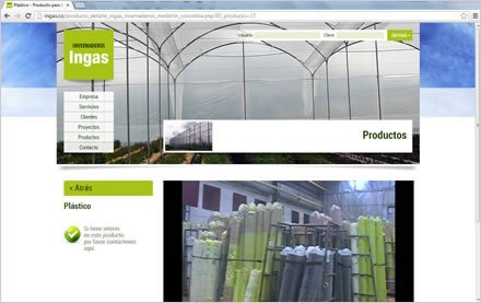 Productos (detalle), Sitio web Ingas
