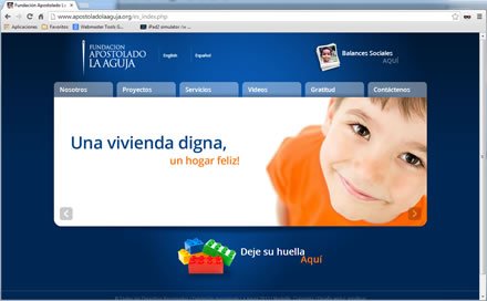 Home, Sitio web Fundación La Aguja