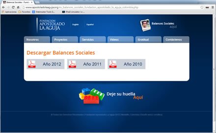 Descarga de balances, Sitio web Fundación La Aguja