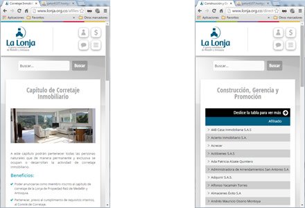 Responsive web, Web Joomla Responsive La Lonja