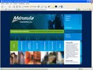 Diseño de Web para Ménsula Ingenieros