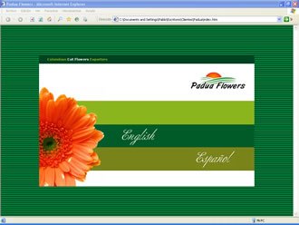 Elección de idioma., Web Padua Flowers