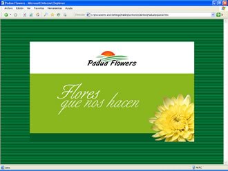 Intro animada., Web Padua Flowers