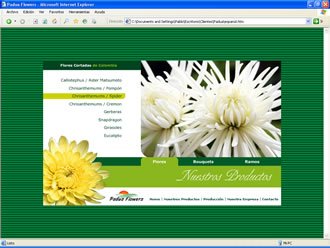 Catálogo de Flores, Web Padua Flowers