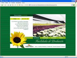 Producción, Web Padua Flowers