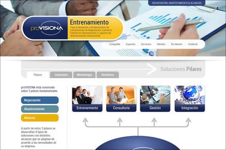 Servicios, Sitio web Pro-Visiona