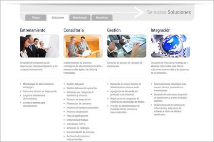 Servicios, Sitio web Pro-Visiona