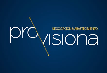 Opción logo, Identidad Visual Pro-visiona